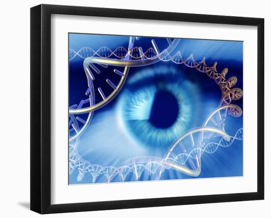 Photographic Print, , large