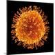 Premium Photographic Print