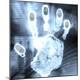 Premium Photographic Print