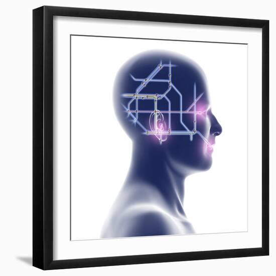 Premium Photographic Print, , large