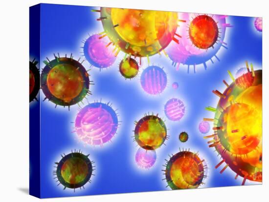 Stretched Canvas Print, , large