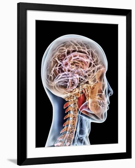 Photographic Print, , large