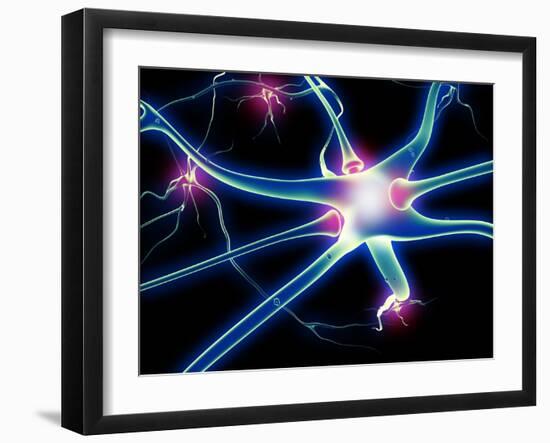 Photographic Print, , large