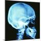 Premium Photographic Print