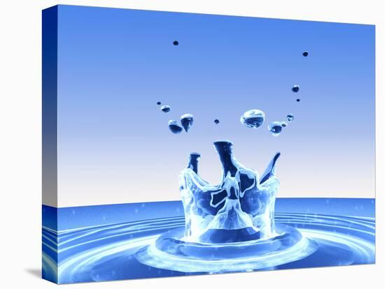 Stretched Canvas Print, , large