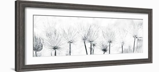 Pasque Flower-Katja Marzahn-Framed Giclee Print