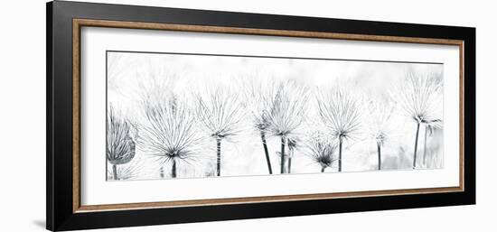 Pasque Flower-Katja Marzahn-Framed Giclee Print