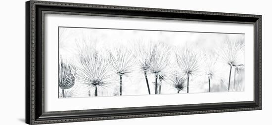 Pasque Flower-Katja Marzahn-Framed Giclee Print