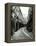 Passage du Dragon, Paris, 1858-78-Charles Marville-Framed Premier Image Canvas