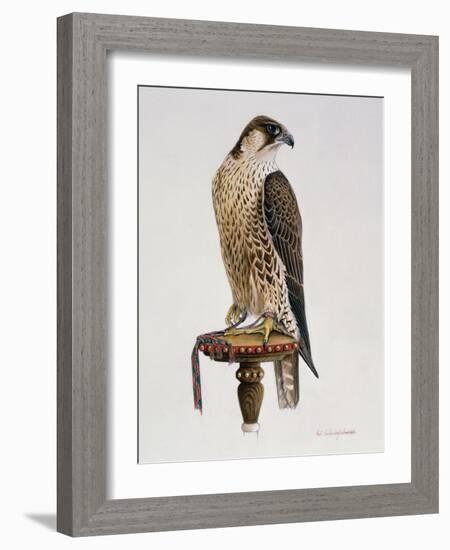 Passage Peregrine, 1980-Mary Clare Critchley-Salmonson-Framed Giclee Print