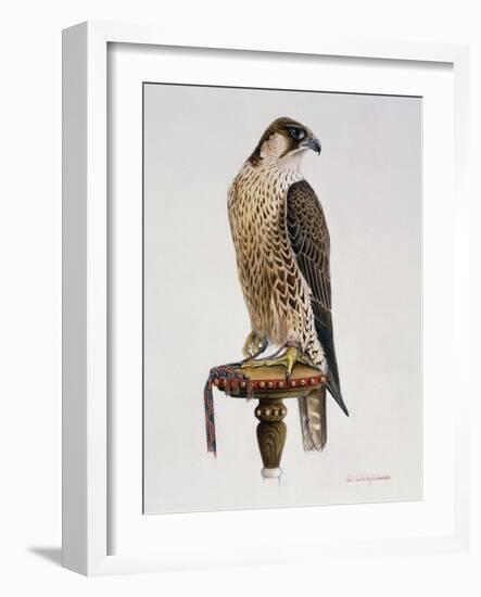 Passage Peregrine, 1980-Mary Clare Critchley-Salmonson-Framed Giclee Print