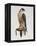Passage Peregrine, 1980-Mary Clare Critchley-Salmonson-Framed Premier Image Canvas