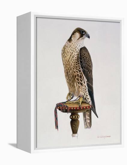 Passage Peregrine, 1980-Mary Clare Critchley-Salmonson-Framed Premier Image Canvas