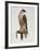 Passage Peregrine, 1980-Mary Clare Critchley-Salmonson-Framed Giclee Print