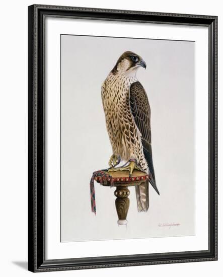 Passage Peregrine, 1980-Mary Clare Critchley-Salmonson-Framed Giclee Print