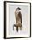 Passage Peregrine, 1980-Mary Clare Critchley-Salmonson-Framed Giclee Print