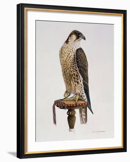 Passage Peregrine, 1980-Mary Clare Critchley-Salmonson-Framed Giclee Print