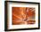 Passage to the Temple-Jeffrey Sink-Framed Photographic Print