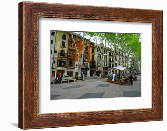 Passeig del Born, the shopping street of Palma, Majorca, Balearic Islands, Spain, Europe-Carlo Morucchio-Framed Photographic Print