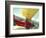 Passenger and Pilot in Biplane over Tulip Fields, Skagit Valley, Washington, USA-Stuart Westmoreland-Framed Photographic Print