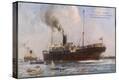 Stretched Canvas Print