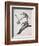 Passenger Pigeon, from 'Birds of America'-John James Audubon-Framed Giclee Print