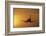 Passenger Plane Taking Off LAX Airport Los Angeles CA-Joseph Sohm-Framed Photographic Print