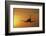 Passenger Plane Taking Off LAX Airport Los Angeles CA-Joseph Sohm-Framed Photographic Print