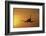 Passenger Plane Taking Off LAX Airport Los Angeles CA-Joseph Sohm-Framed Photographic Print