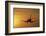 Passenger Plane Taking Off LAX Airport Los Angeles CA-Joseph Sohm-Framed Photographic Print