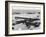 Passengers Boarding a Bea Vanguard Aeroplane Straight from the Runway-null-Framed Photographic Print