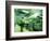 Passengers Boarding Train at Parliament Station in the City of Melbourne, Victoria, Australia-Richard Nebesky-Framed Photographic Print