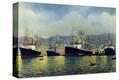 Stretched Canvas Print