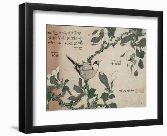 Passereau et magnolia-Katsushika Hokusai-Framed Giclee Print