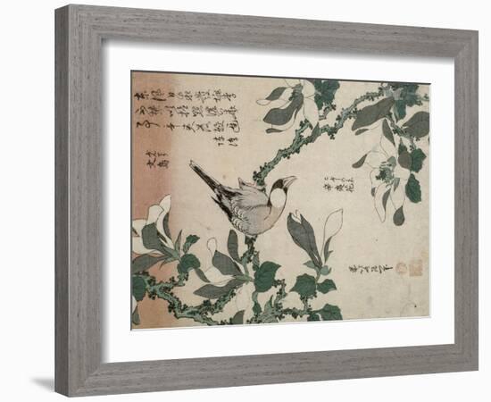 Passereau et magnolia-Katsushika Hokusai-Framed Giclee Print