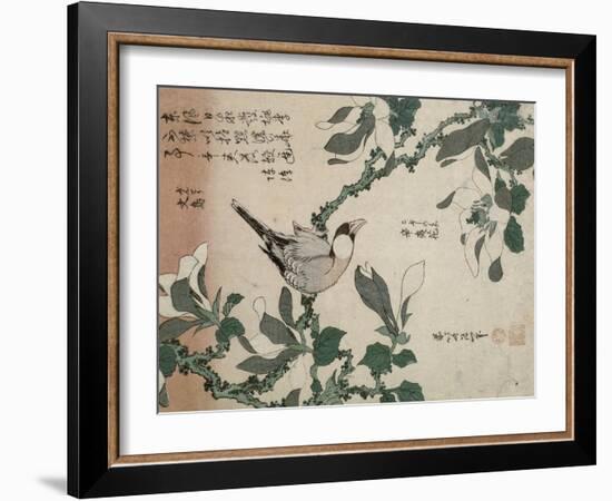 Passereau et magnolia-Katsushika Hokusai-Framed Giclee Print