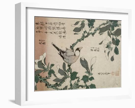 Passereau et magnolia-Katsushika Hokusai-Framed Giclee Print