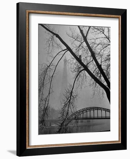 Passerelle Debilly Bridge on a Foggy Winter Day with the Eiffel Tower in the Background-Ed Clark-Framed Photographic Print