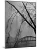 Passerelle Debilly Bridge on a Foggy Winter Day with the Eiffel Tower in the Background-Ed Clark-Mounted Photographic Print