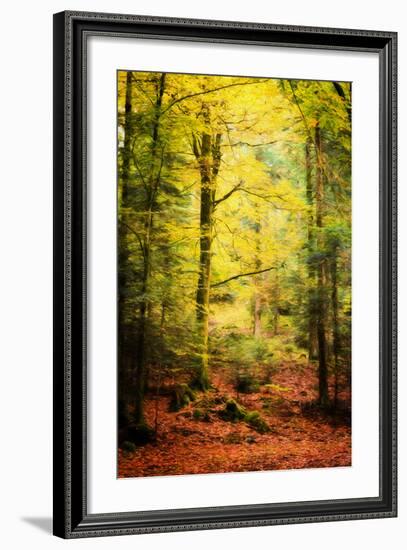 Passing By-Philippe Sainte-Laudy-Framed Photographic Print
