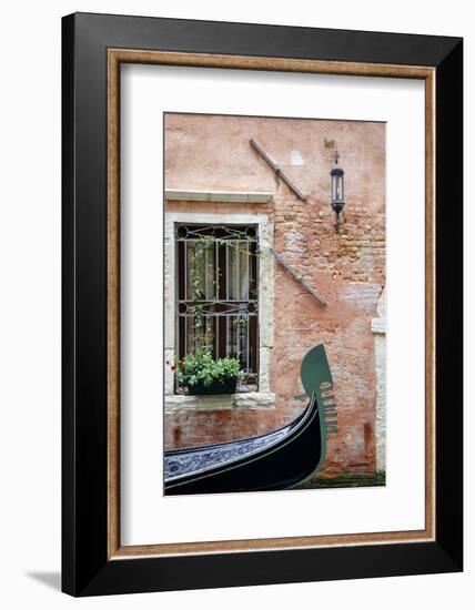 Passing Gondola-Laura DeNardo-Framed Photographic Print