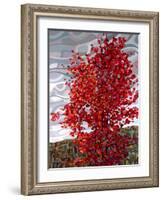 Passing Storm-Mandy Budan-Framed Giclee Print