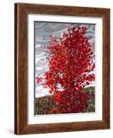 Passing Storm-Mandy Budan-Framed Giclee Print