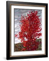 Passing Storm-Mandy Budan-Framed Giclee Print