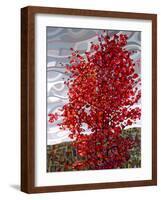 Passing Storm-Mandy Budan-Framed Giclee Print