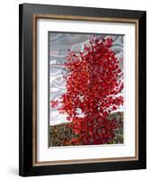 Passing Storm-Mandy Budan-Framed Giclee Print
