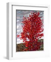 Passing Storm-Mandy Budan-Framed Giclee Print
