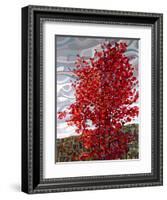 Passing Storm-Mandy Budan-Framed Giclee Print