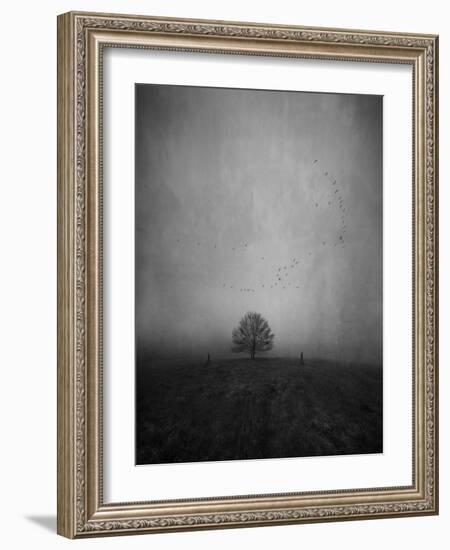 Passing the Tree-Peter Polter-Framed Photographic Print