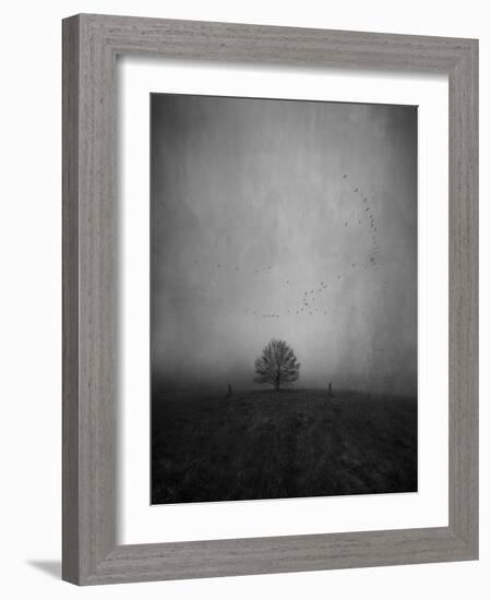 Passing the Tree-Peter Polter-Framed Photographic Print